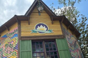 Disney Made It Extra Tough to Trip What You Need, Simply in Time for Tiana’s Bayou Journey