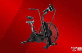 Assault Health AssaultBike Professional X Evaluate (2024)