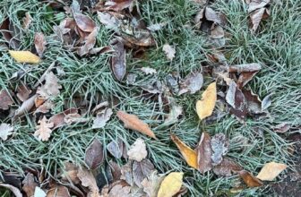 Find out how to Beat the Winter Blues… — Estée Lalonde