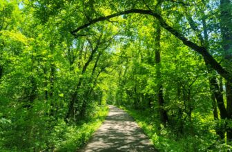 The Little Issues E-newsletter #420 – Life, laughter, and many nice meals!