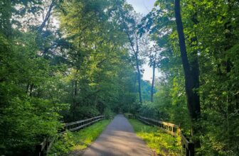 The Little Issues E-newsletter #421 – Life, laughter, and many nice meals!