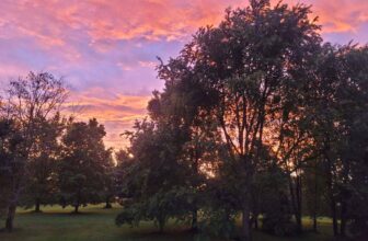 The Little Issues E-newsletter #423 – Life, laughter, and many nice meals!