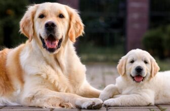 Can You Clear up These ‘Relative’-ly Easy Brainteasers?