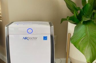 the perfect air filter for dwelling (Air Physician Overview)