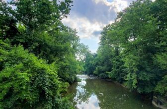 The Little Issues Publication #425 – Life, laughter, and plenty of nice meals!