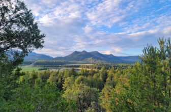 The Little Issues E-newsletter #427 – Life, laughter, and many nice meals!