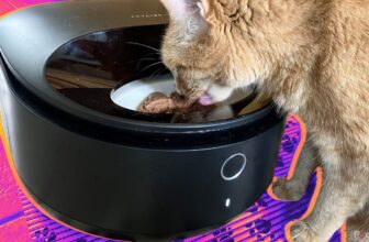 Petlibro Polar Moist Meals Feeder evaluate