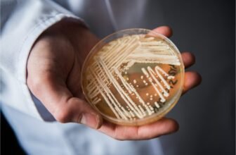 Scientists Uncover New Kind of Lethal Fungus
