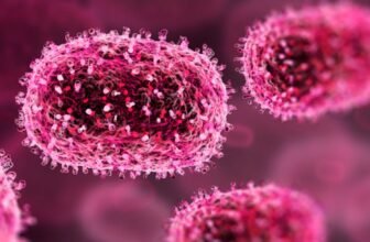 WHO Declares Mpox a World Well being Disaster. Right here’s What You Ought to Know
