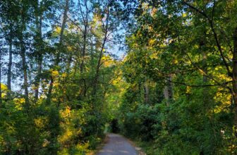 The Little Issues E-newsletter #432 – Life, laughter, and plenty of nice meals!