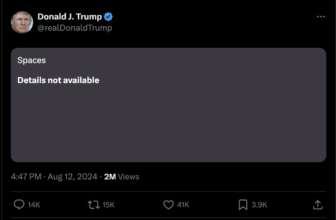 Elon Musk claims ‘large DDOS assault’ delayed his reside stream with Donald Trump