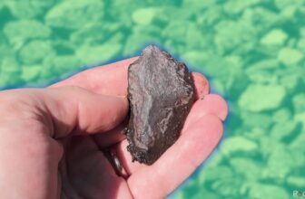 Easy methods to establish rocks along with your telephone