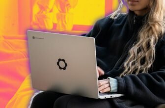 What can Chromebooks not do?
