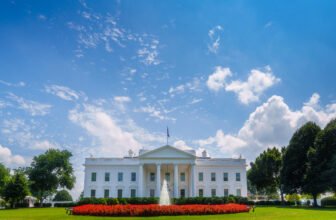 White Home will get voluntary commitments from AI corporations to curb deepfake porn