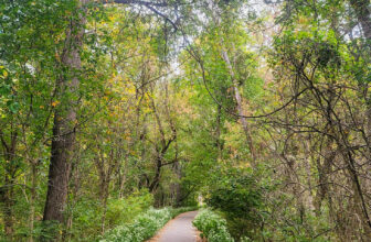 The Little Issues E-newsletter #435 – Life, laughter, and plenty of nice meals!