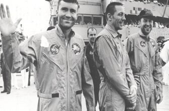 Survival Director Discovered Magnificence in Close to Tragedy