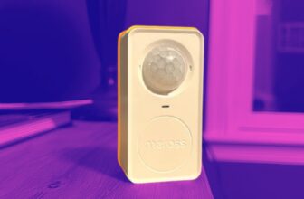 This movement and light-weight sensor retains my house safe