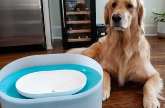 Petlibro’s Capsule Canine Fountain gave my golden the pristine water she deserves