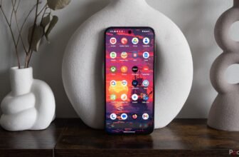 Pixel 9 Professional XL assessment: A images powerhouse
