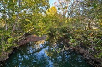 The Little Issues Publication #438 – Life, laughter, and many nice meals!