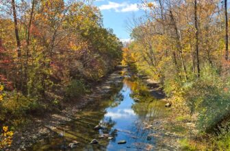 The Little Issues Publication #440 – Life, laughter, and many nice meals!