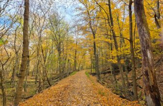 The Little Issues E-newsletter #441 – Life, laughter, and many nice meals!