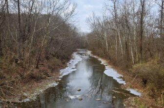 The Little Issues Publication #446 – Life, laughter, and many nice meals!