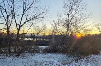 The Little Issues E-newsletter #448 – Life, laughter, and plenty of nice meals!