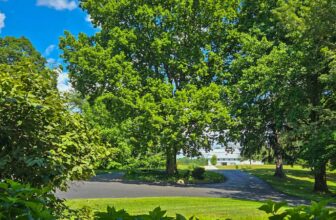 The Little Issues E-newsletter #476 – Life, laughter, and plenty of nice meals!