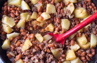 HOBO STEW – 4 INGREDIENTS