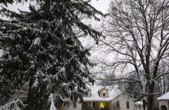 The Little Issues E-newsletter #498 – Life, laughter, and many nice meals!