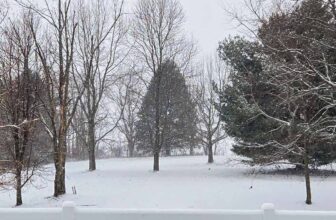 The Little Issues E-newsletter #499 – Life, laughter, and many nice meals!